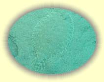 IMG_2007_05_25 14_35_14 * 800 x 600 * (114KB)